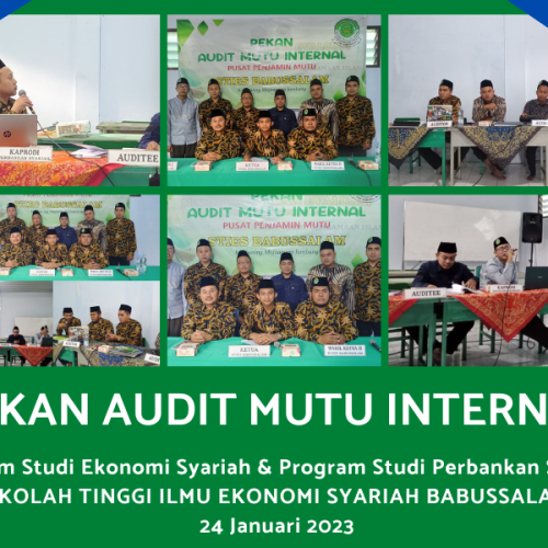 PEKAN AUDIT MUTU INTERNAL STIESBA